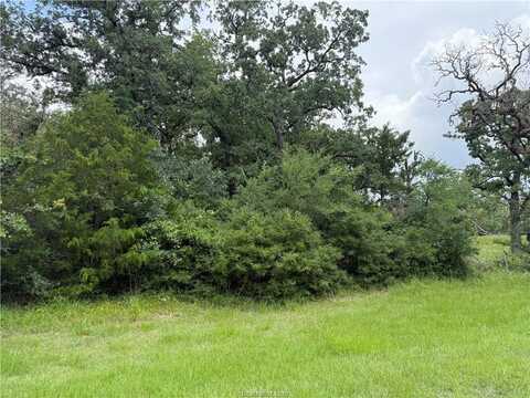 0 Lakewood Dr lots 96&97, Marquez, TX 77865