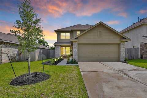317 Riverwood Village Lane, Other, TX 77474