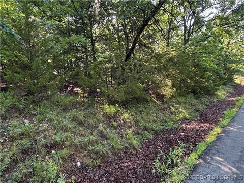 Tbd Storm Cove Drive, Linn Creek, MO 65052