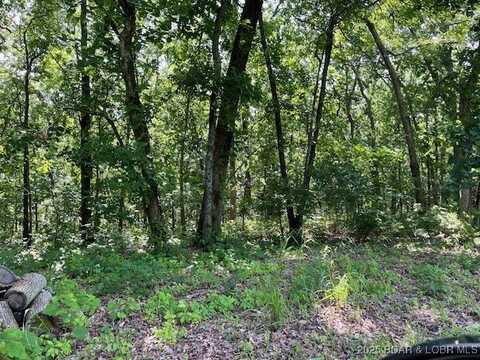 Chateau Oaks Drive, Brumley, MO 65017