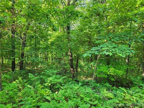 Kean Lane, Edwards, MO 65326
