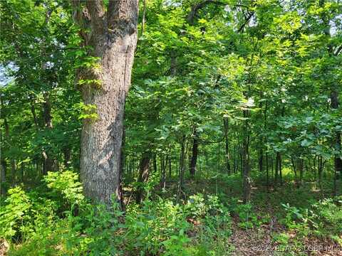 Rachael Place, Edwards, MO 65326