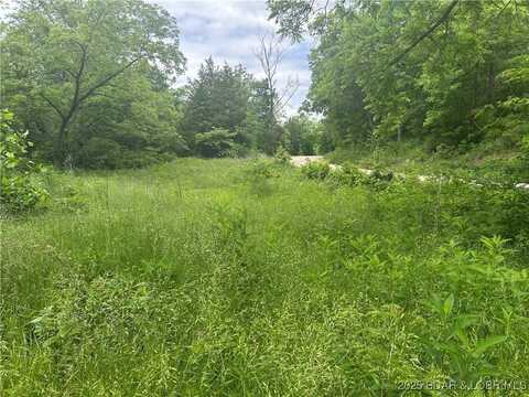 Kolb Hollow Road, Climax Springs, MO 65324
