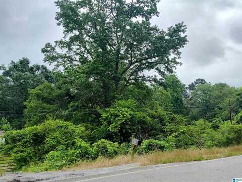 12 RIVER BEND CIRCLE, TALLADEGA, AL 35160
