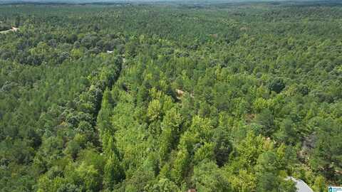 00 DOUGLAS ROAD, BEAVERTON, AL 35544