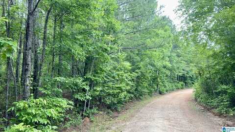 0 COUNTY ROAD 645, ROANOKE, AL 36274