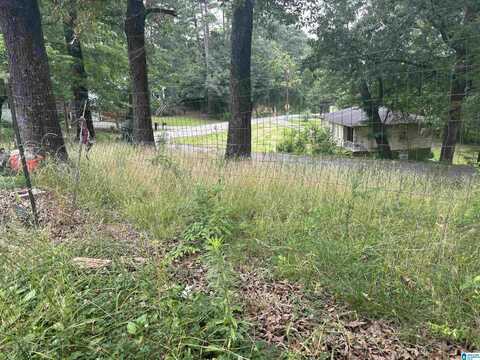 224 IRIS DRIVE, GARDENDALE, AL 35071