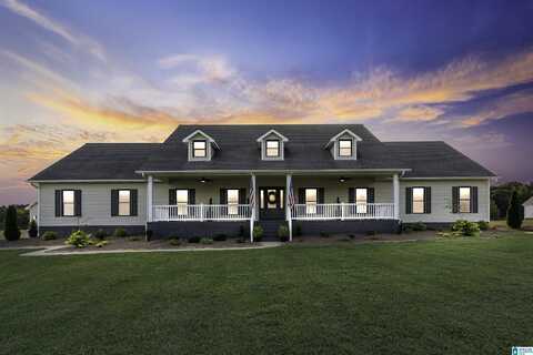 384 RICHARDSON ROAD, JASPER, AL 35504