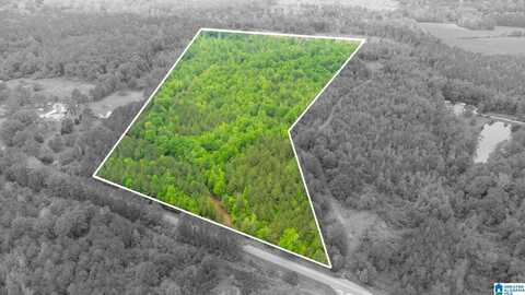 00 COVE ACCESS ROAD, TALLADEGA, AL 35160
