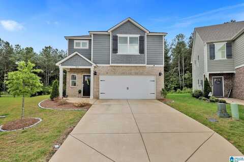 260 CHELSEA PARK CIRCLE, CHELSEA, AL 35043