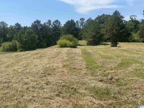 492 HIGHWAY 13, HELENA, AL 35080