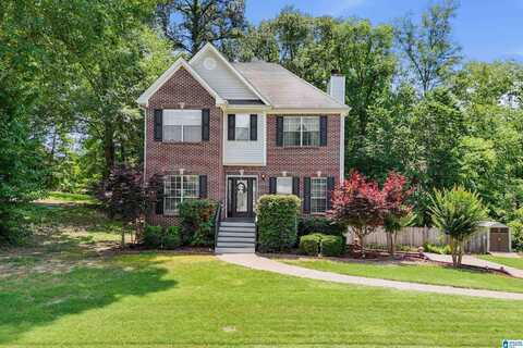 311 HUNTER HILLS CIRCLE, CHELSEA, AL 35043