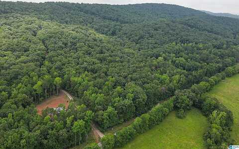 Lot 1 HIGHWAY 25, COLUMBIANA, AL 35051