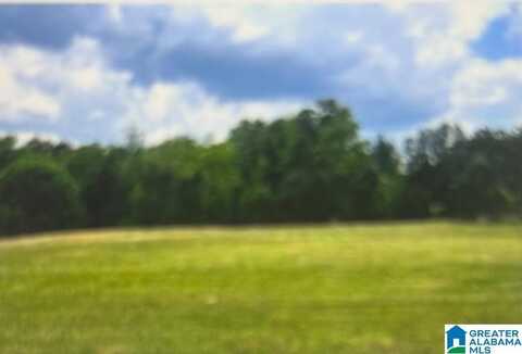 117 CALDARO PASS, OXFORD, AL 36203