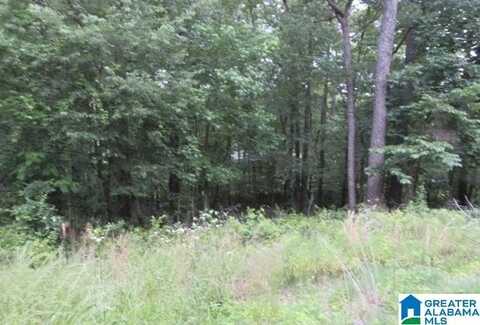 DELMAR DRIVE, Mc Calla, AL 35111