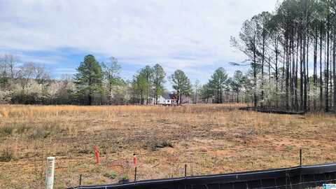 1023 CHANCELLORS FERRY LOOP, HARPERSVILLE, AL 35078