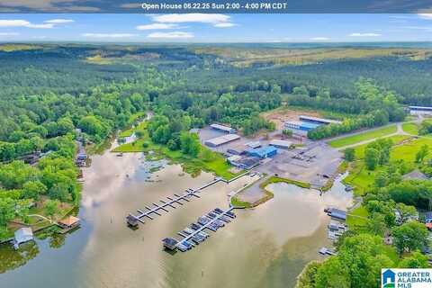 451 PARADISE POINT DRIVE, COLUMBIANA, AL 35051