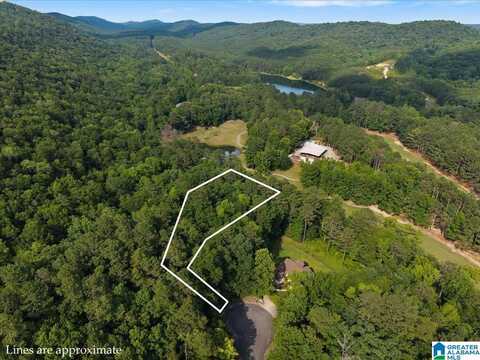 0 BELLERIVE CIRCLE, ONEONTA, AL 35121