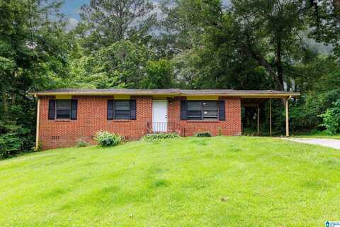 313 13TH TERRACE, CENTER POINT, AL 35215