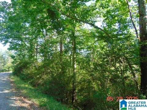 Lot 1 COUNTY ROAD 182, CLANTON, AL 35045