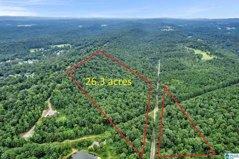 3107 SMITH SIMS ROAD, TRUSSVILLE, AL 35173