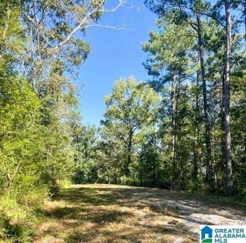 0 CENTRAL AVENUE, MONTEVALLO, AL 35115