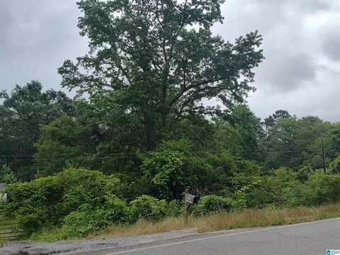 3640 LOGAN MARTIN DAM ROAD, CROPWELL, AL 35054