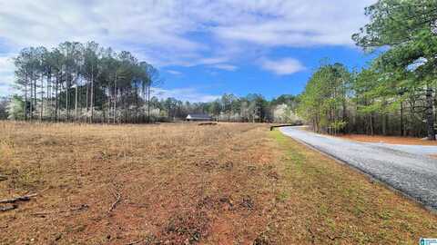 1081 CHANCELLORS FERRY LOOP, HARPERSVILLE, AL 35078