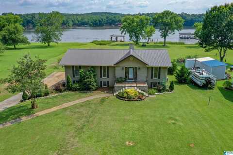 205 MCCLURE DRIVE, WILSONVILLE, AL 35186