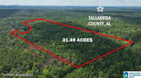 0 DONAHOO LANE, SYLACAUGA, AL 35151