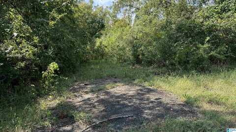 0 SIMS STREET, TALLADEGA, AL 35160