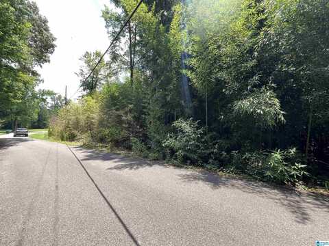 103 CALMONT WOODS DRIVE, MONTEVALLO, AL 35115
