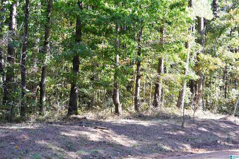 lot 24 GLADYS DRIVE, LAKEVIEW, AL 35111