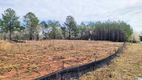 1031 CHANCELLORS FERRY LOOP, HARPERSVILLE, AL 35078