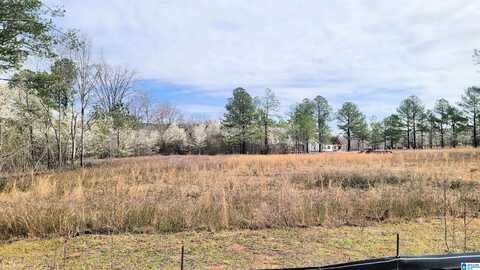1019 CHANCELLORS FERRY LOOP, HARPERSVILLE, AL 35078