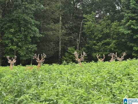 0 GUINNS COVE ROAD, HAYDEN, AL 35079