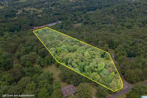 37 FOREST LANE, WARRIOR, AL 35180