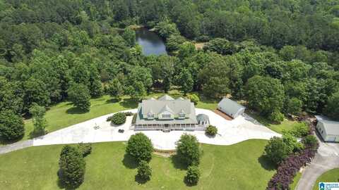 150 TWO EAGLES LANE, ODENVILLE, AL 35120