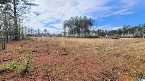 1077 CHANCELLORS FERRY LOOP, HARPERSVILLE, AL 35078