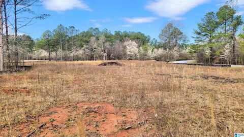 1085 CHANCELLORS FERRY LOOP, HARPERSVILLE, AL 35078