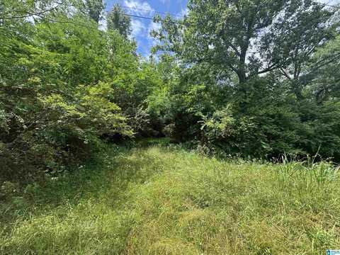 6391 HIGHWAY 13, HALEYVILLE, AL 35565