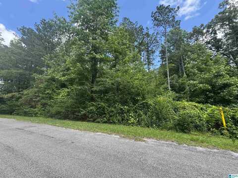 0 COUNTY ROAD 88, GUIN, AL 35563