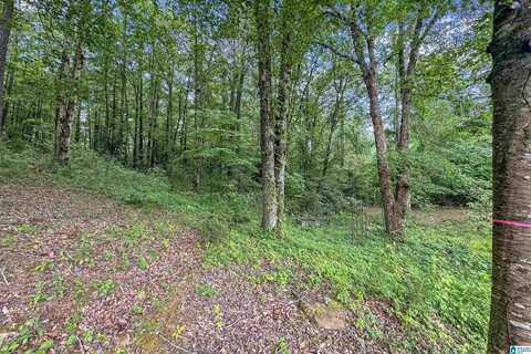 0 RED OAK CIRCLE, HELENA, AL 35080