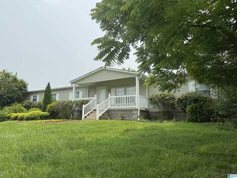 810 RIDDLE FARM ROAD, ANNISTON, AL 36207