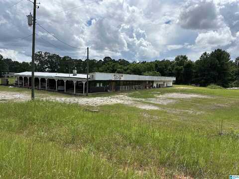 12427 HIGHWAY 77, ROANOKE, AL 36274