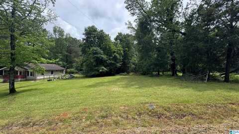 7317 LOWETOWN ROAD, Mc Calla, AL 35111