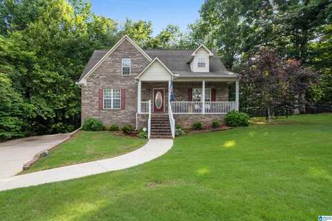 6206 DORSETT WOODS DRIVE, MOUNT OLIVE, AL 35117