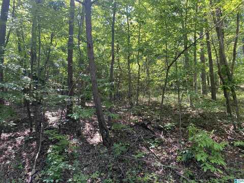 SOUTH SHORE DRIVE, BROOKWOOD, AL 35444