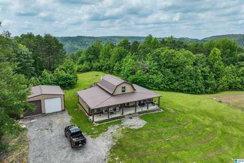 1126 EVANS DRIVE, ONEONTA, AL 35121