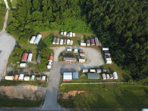 2908 MARTIN STREET, CROPWELL, AL 35054